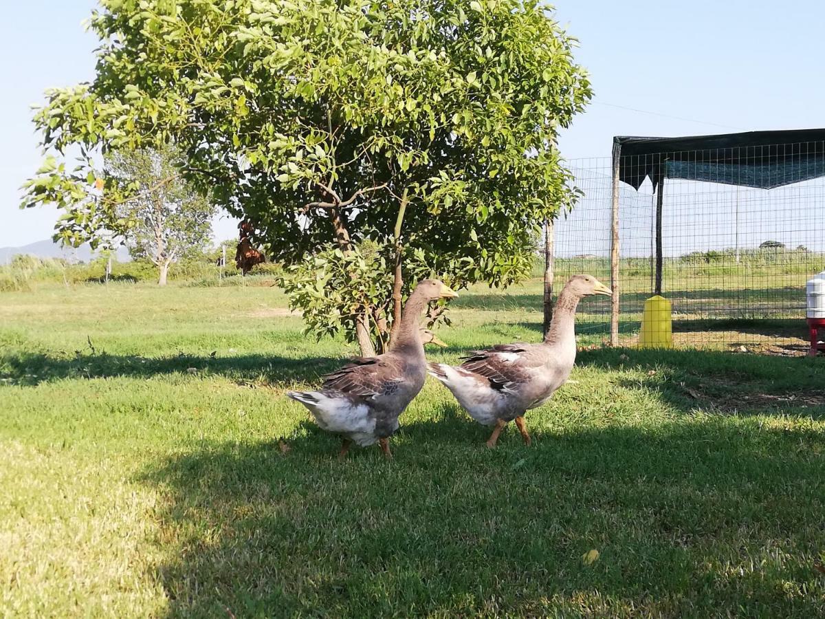 Le Folaghe Séjour à la ferme Terracine